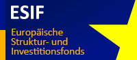 Das offizielle ESI-Fondswebbanner. Weiße und gelbe Schrift auf blauem Grund.