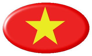 Die Grafik zeigt die rote Flagge Vietnams mit gelbem Stern.