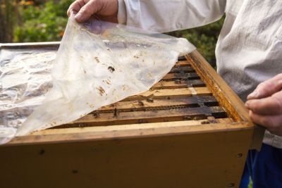 Ein Bienenstock wird geöffnet