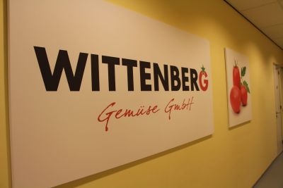 Großes Schild mit Schriftzug Wittenberger Gemüse GmbH (Foto: Ministerium der Finanzen LSA)