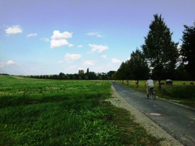 Das Bild zeigt einen asphaltierten Radweg mit zwei Radfahrern, die sich entgegenkommen. Der Radweg befindet sich zwischen zwei Weiden, rechts säumen Laubbäume den Radweg. 