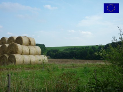 The picture shows an acreage with stacked straw bales. (Picture: Grit Gröbel)