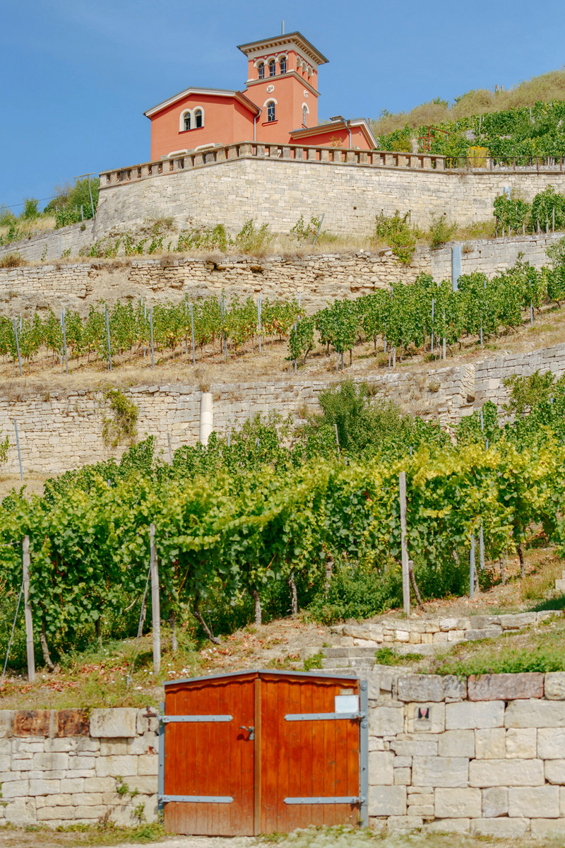 Weinberg mit Weinbergmauern und dem Toskana-Schlösschen