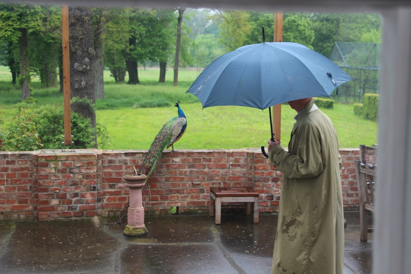 Die Terasse des Herrenhauses Karow mit einem Pfau auf der Mauer und einem Menschen mit Regenschirm
