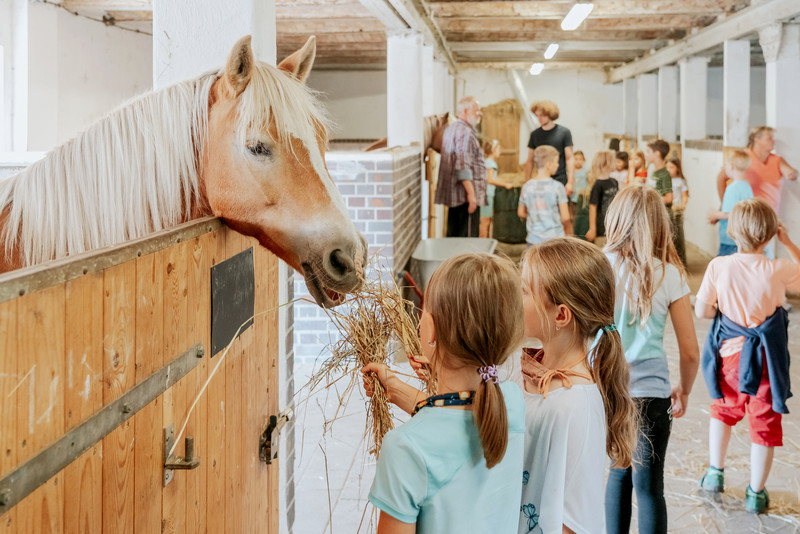 Das Bild zeigt eine Gruppe von Kindern in einem Pferdestall. Zwei Mädchen vorn im Bild füttern ein Pferd.