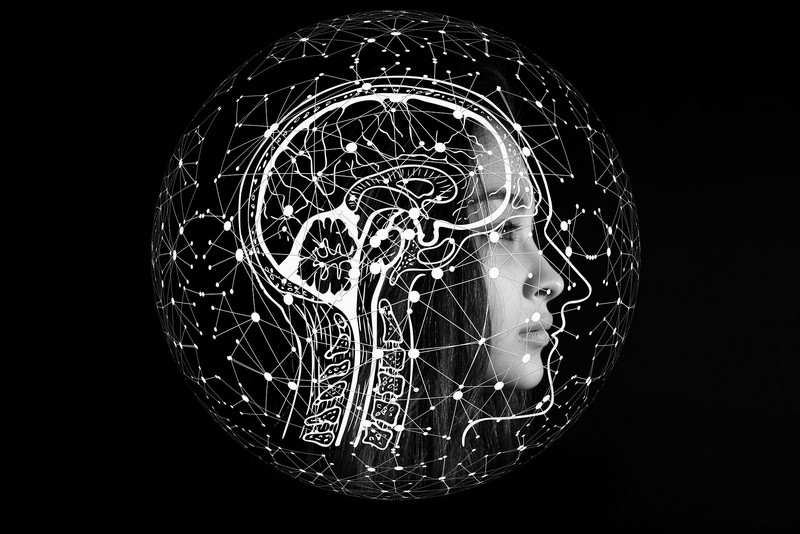 Kopf mit digitalem Gehirn 