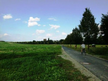 Das Foto zeigt ein grünes Feld. Darüber blauer Himmel. Links im Bild die alte Bahntrasse auf der sich heute ein asphaltierter Radweg befindet.