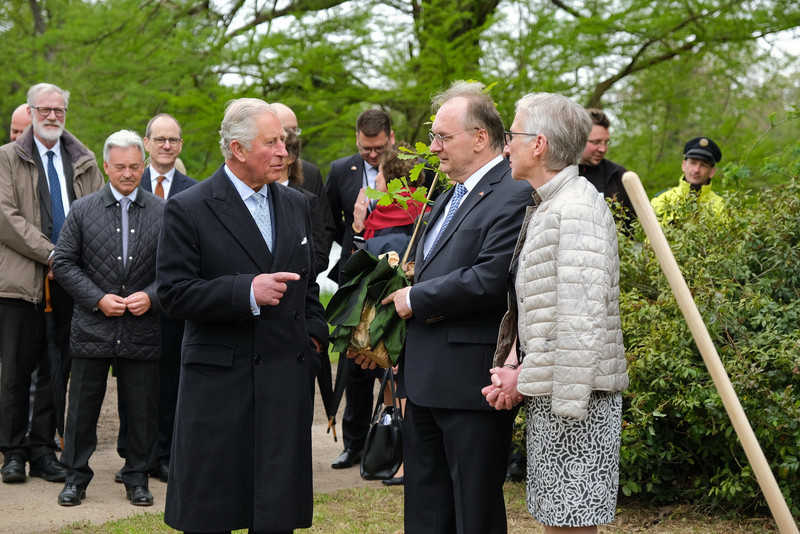 Das Bild zeigt links Prinz Charles, rechts daneben Ministerpräsident Haseloff und Stiftungsdirektorin Mang. Haseloff hält das Eichenbäuchen, das er dem Prinzen für den neugeborenen vierten Enkel überreichen wird.