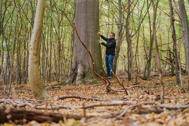 Peter Eisemann von der Stadt Osterwieck begutachtet Plakette an einem Baum im Wald