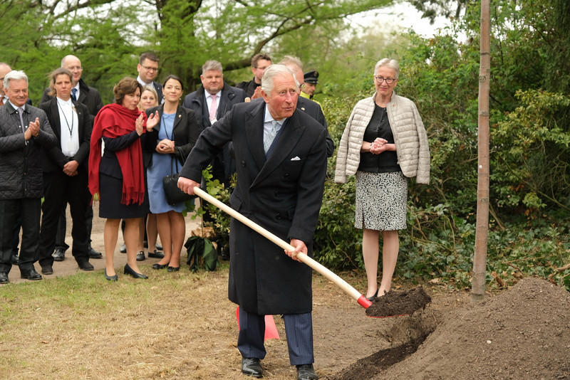 Das Bild zeigt Prinz Charles mit einer Schaufel in den Händen bei der Pflanzung eines Mehlbeerenbaumes.