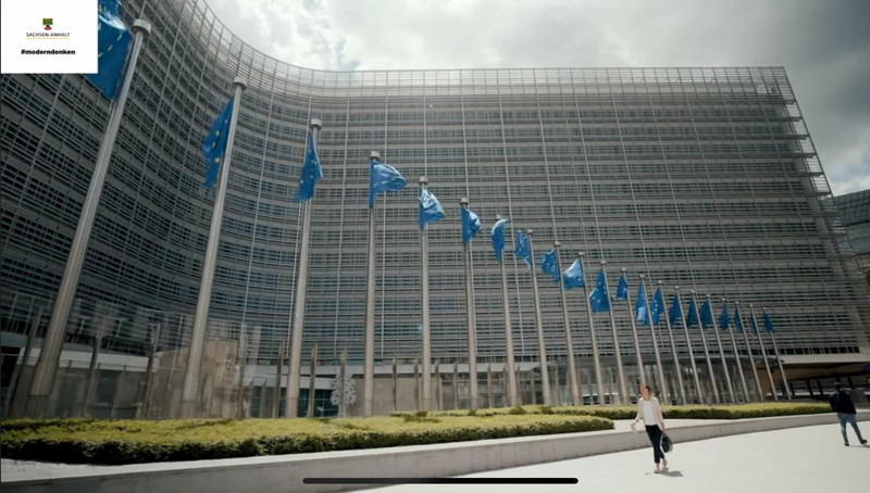 Das Bild zeigt EU-Fahnen.
