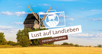 ELER Fotowettbewerb Lust auf Landleben, Mühle und Kornfeld