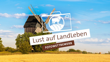ELER Fotowettbewerb Lust auf Landleben, Mühle und Kornfeld